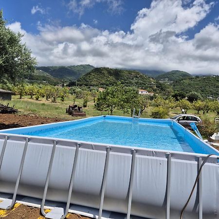Villa Elvira Country House Бельведере-Мариттимо Экстерьер фото