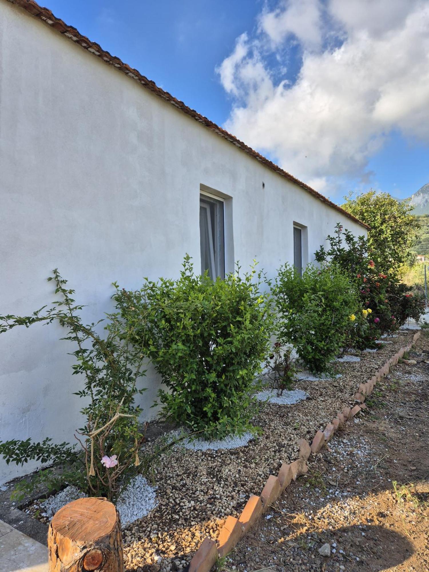 Villa Elvira Country House Бельведере-Мариттимо Экстерьер фото